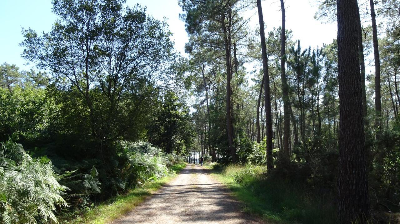 Studio Kerwood Sud Morbihan Vue Sur La Vilaine Apartment Beganne Bagian luar foto